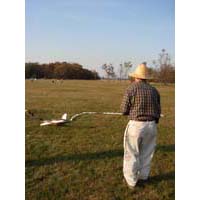 click to view a full-size picture without a caption