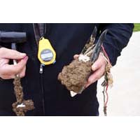 click to view a full-size picture without a caption