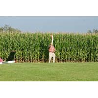 click to view a full-size picture without a caption